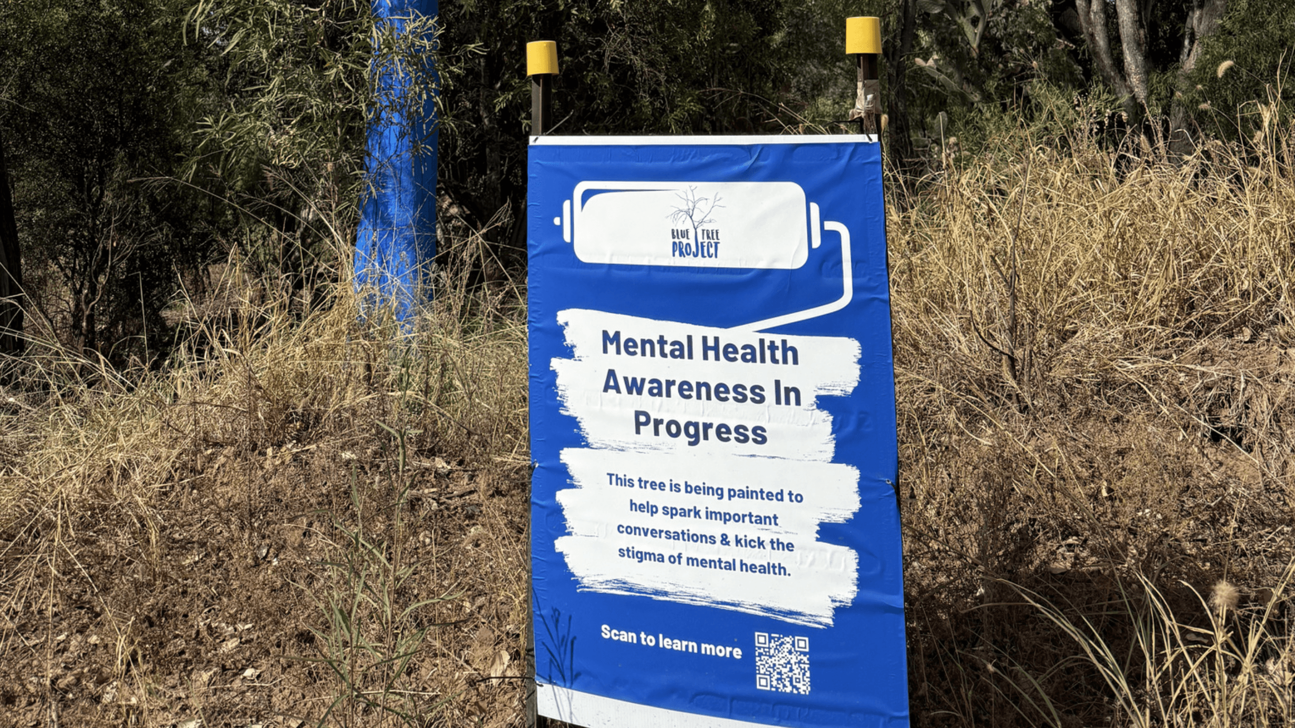 Blue trees for mental health
